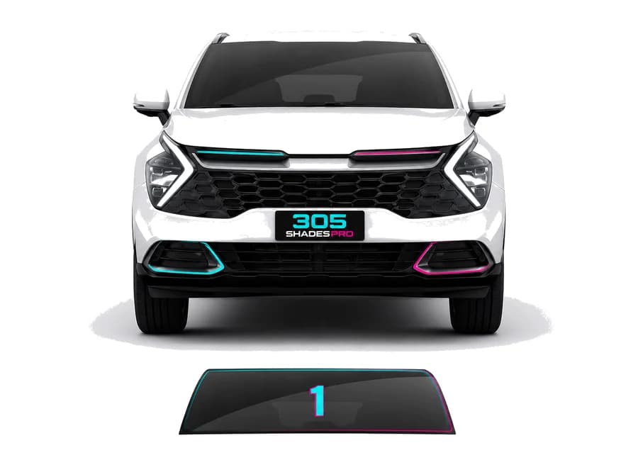 Windshield — 305 Shades Pro
